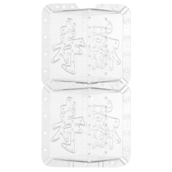 2 Pcs Fruit Growth Shaping Accessories Vegetable Shape Mold