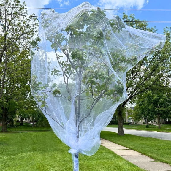 2 Pcs Fruit Tree Netting with Zipper & Drawstring, 6ft x 6ft Insect & Bird Netting for Garden Protection, Ultra-Fine Mesh Garden Netting Pest Barrier, Blueberry Bush Netting Cover
