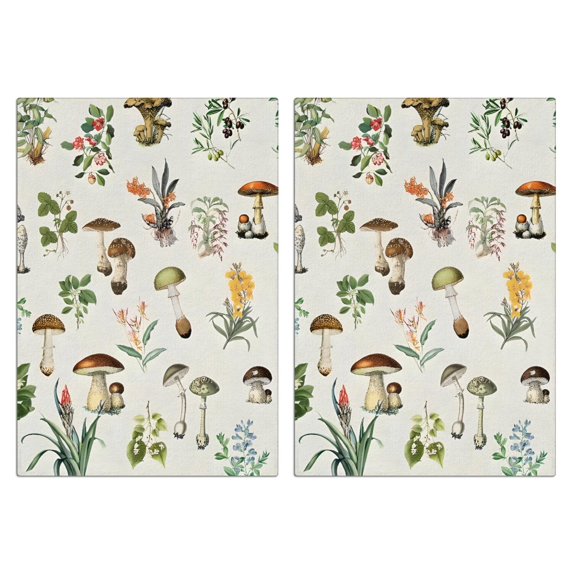 2 Pcs Funny Kitchen Towels,Brown Mushroom Flower Light Pattern Microfiber Dish Towels,Kitchen Tea Towels,Kitchen Towel Set (18" X 26")