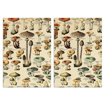2 Pcs Funny Kitchen Towels,Brown Mushroom Label Light Pattern Microfiber Dish Towels,Kitchen Tea Towels,Kitchen Towel Set (18" X 26")