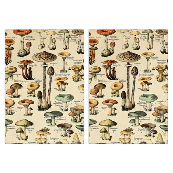 2 Pcs Funny Kitchen Towels,Brown Mushroom Label Light Pattern Microfiber Dish Towels,Kitchen Tea Towels,Kitchen Towel Set (18" X 26")