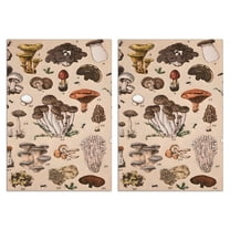 2 Pcs Funny Kitchen Towels,Brown Mushroom Specimen Beige Pattern Microfiber Dish Towels,Kitchen Tea Towels,Kitchen Towel Set (18" X 26")