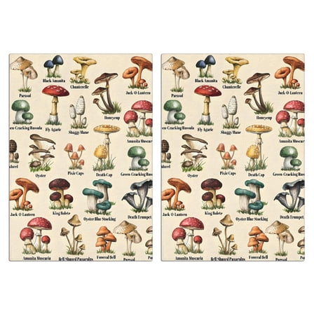 2 Pcs Funny Kitchen Towels,Colorful Mushroom Label Light Pattern Microfiber Dish Towels,Kitchen Tea Towels,Kitchen Towel Set (18" X 26")