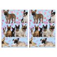 thumbnail image 1 of 2 Pcs Funny Kitchen Towels,French Bulldogs Microfiber Dish Towels,Kitchen Tea Towels,Kitchen Towel Set (18" X 26"), 1 of 3