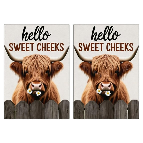 2 Pcs Funny Kitchen Towels,Highland Cow Microfiber Dish Towels,Kitchen Tea Towels,Kitchen Towel Set (18" X 26")