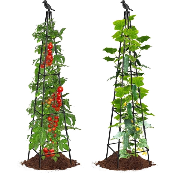 MQ 65 inch Garden Obelisk Trellis 2 Pcs - Rustproof Plant Stand for Climbing Plants and Vines