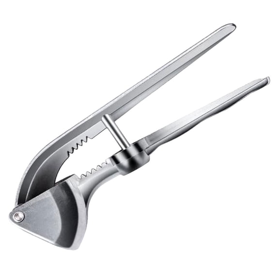 FUEENIRVA 2-Pack Stainless Steel Garlic Press Set, Professional Kitchen Tool for Easy Garlic Mincing and Crushing at Home