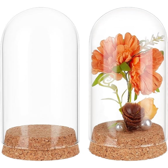 2 Pcs Glass Display Cloche 2.8x5.1 inches Bell Jar Dome with Cork Base Display Dome Glass