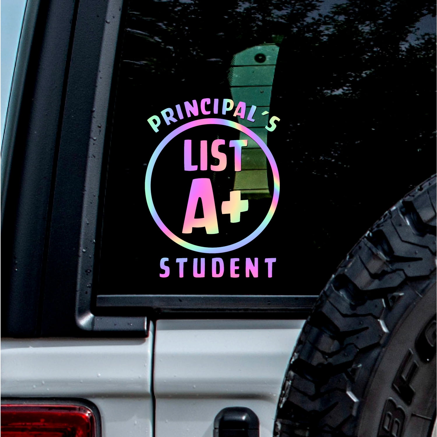 (2 Pcs, Hologram, 8'' X 10.6'') Transparent Adhesive Decal Sticker Of ...