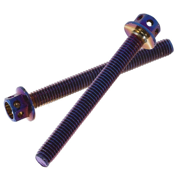 2 Pcs License Plate Screws Long Electric Motorcycle Modification Bolts Baked Blue