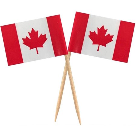 2 Pcs Mini Canadian Flag - 100 Pcs Canada Flag Toothpick Flags,Canada Day Flags, 100 Pcs Cupcake Toppers Flag, Small Stick Flags Party Decoration Celebration Cocktail Picks Food Bar Cake Flags. A/v