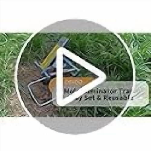 2 Pcs Mole Traps, Galvanized Steel Scissor Moles Trap, Reusable Mole Gopher Trap, Quick Kill Moles Killer, Easy to Set Vole Eliminator Traps for Lawns