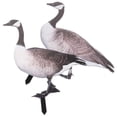 thumbnail image 1 of MLINS Garden Animal Stake Realistic Duck Decoration for Home Acrylic Material 2pcs, 1 of 8
