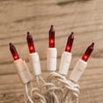 thumbnail image 1 of 2 Pcs Outdoor String Lights String Lights 100 Bulbs 20.5 Feet White Wire Indoor Outdoor Plug-In Red, 1 of 2