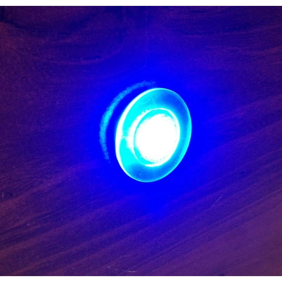 Pactrade Marine Boat LED Live Well Round Button Courtesy Light OEM Waterproof, Blue