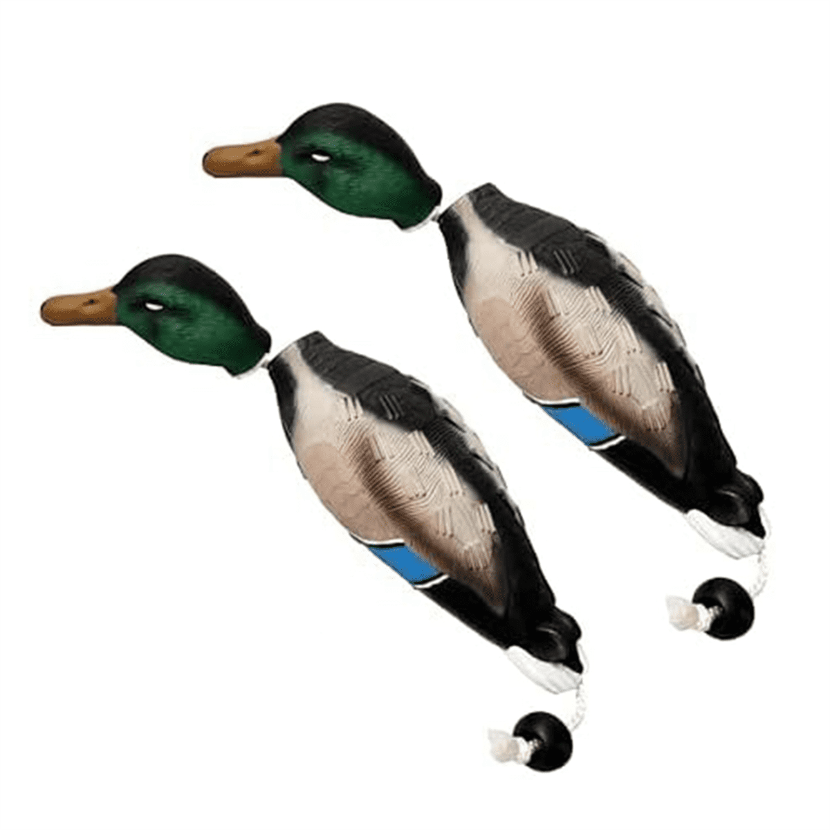 Symkmb 2 Pcs Pheasant Dummy Bumper Toy for Hunting Retriever Dog Training, Hunting Duck Recognition Trainers,Ducks EVA
