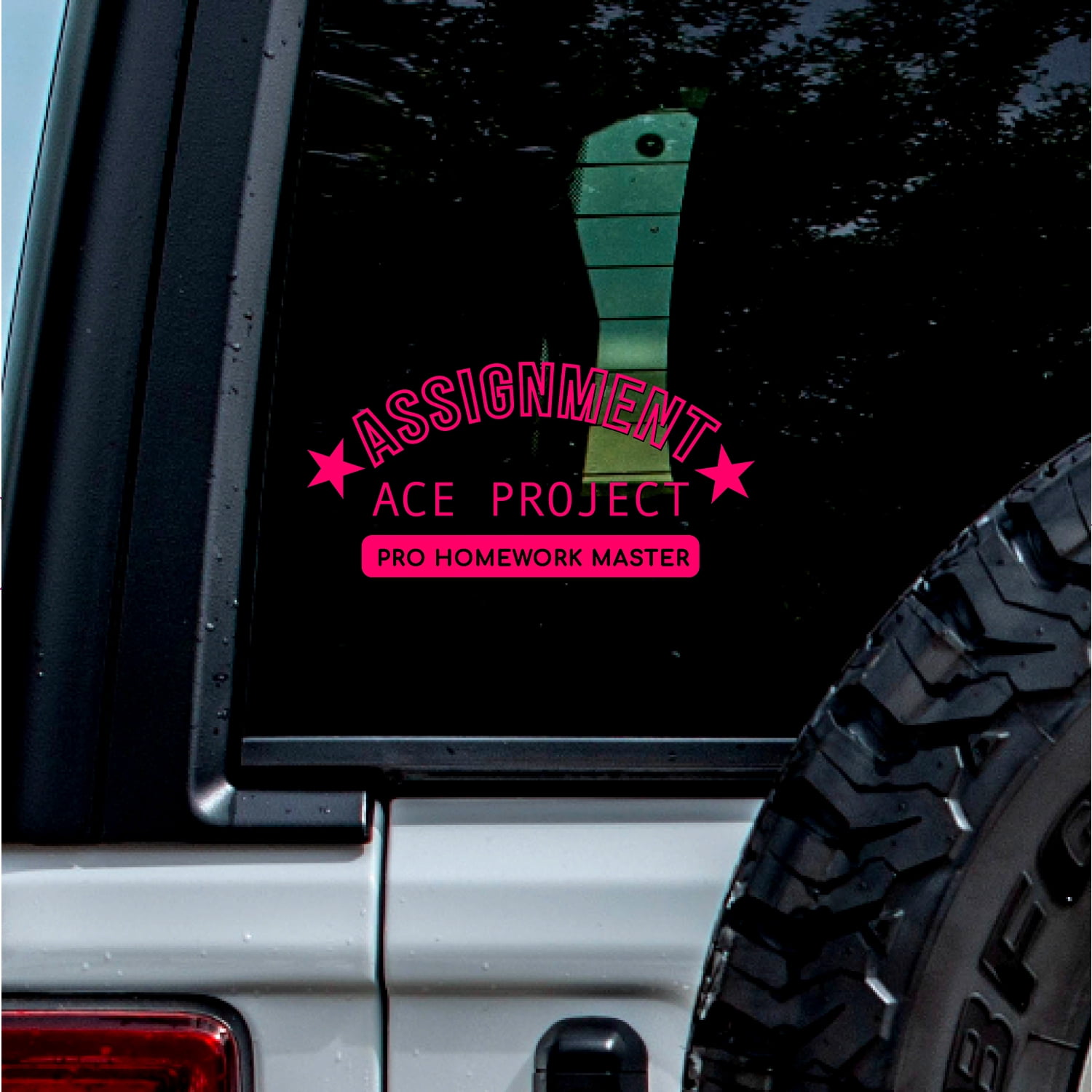 (2 Pcs, Pink, 3.8'' X 1.8'') Transparent Adhesive Decal Sticker Of ...