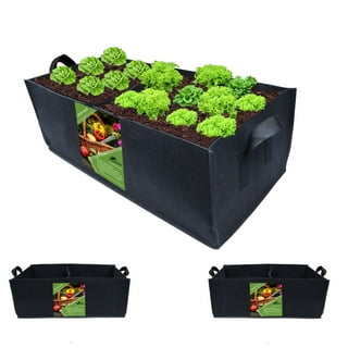 https://i5.walmartimages.com/seo/2-Pcs-Plant-Grow-Bag-Handles-10-Gallon-Black-Rectangle-Heavy-Fabric-Raised-Garden-Bed-Vegetable-Potato-Onion-Durable-Breathe-Cloth-Planting-Container_e5519dbb-5865-4b70-a481-44527ec6ec39.21a0f6d6d7e7efb1a8ed21d35f3a4588.jpeg?odnHeight=320&odnWidth=320&odnBg=FFFFFF