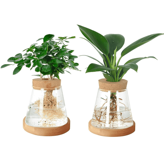 Jademall 2-Pcs Glass Plant Propagation Station, Desktop Hydroponic Planter Vase with Cork Lid & Wooden Base for Indoor Home & Office Decor