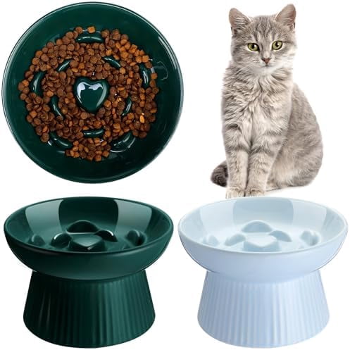 2 Pcs Raised Cat Slow Feeder Bowl Ceramic Elevated Cat Dog Food Bowl No Spill High Edge for Dry Wet Food and Water Easy to Clean, Dishwasher Safe (Dark Green,Blue)