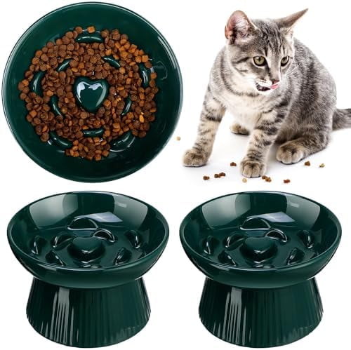 2 Pcs Raised Cat Slow Feeder Bowl Ceramic Elevated Cat Dog Food Bowl No Spill High Edge for Dry Wet Food and Water Easy to Clean, Dishwasher Safe (Dark Green)