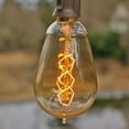 thumbnail image 1 of 2 Pcs Replacement Bulbs Vintage Antique Bulb E12 Base 25 Watt Mini ST15 Nostalgic Spiral, 1 of 4
