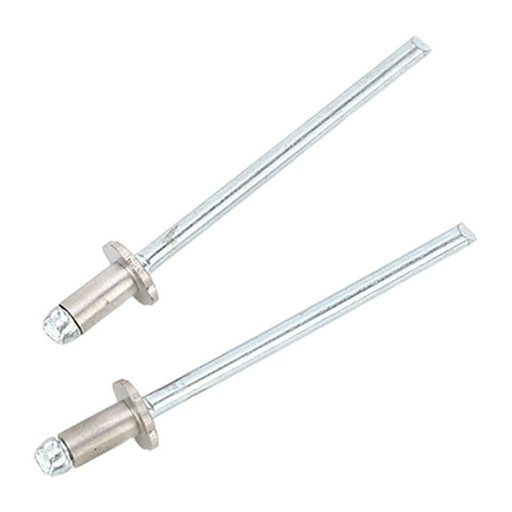 2 Pcs Rosette Rivets Stainless Steel Rosette Pop Rivets Replacement for Ford AMC VIN Door Tags