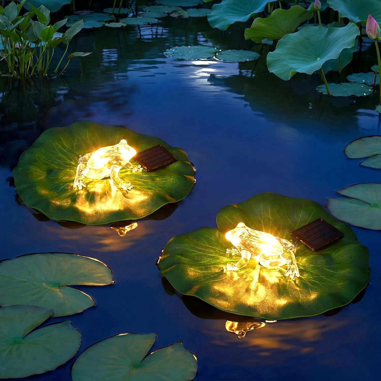 2 Pcs Solar Pond Lights Floating Frog Lights with Warm White LED ...