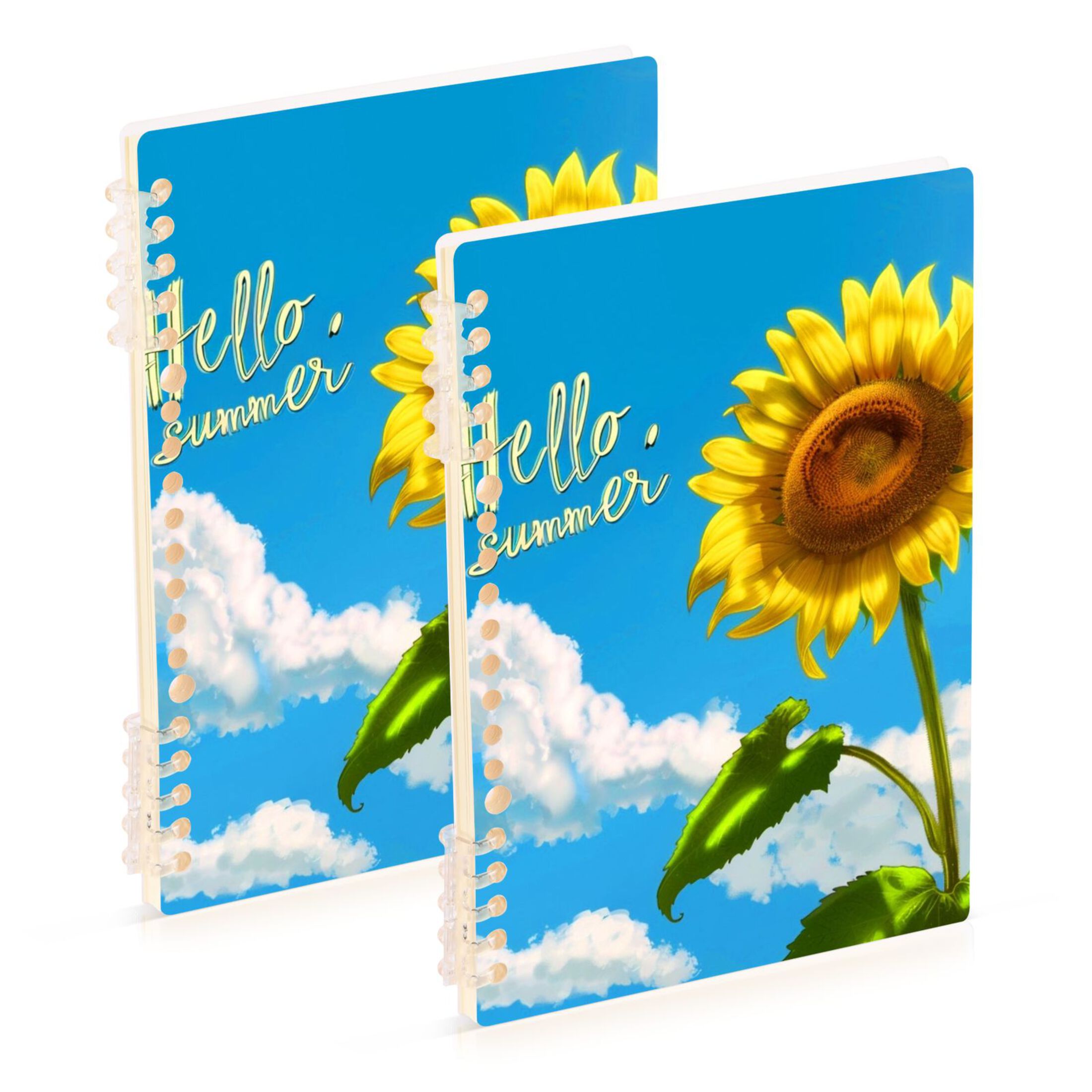 2 Pcs Spiral Notebooks 60 Sheets 120 Pages A5 Journal Notepad 8.3x5.7 ...