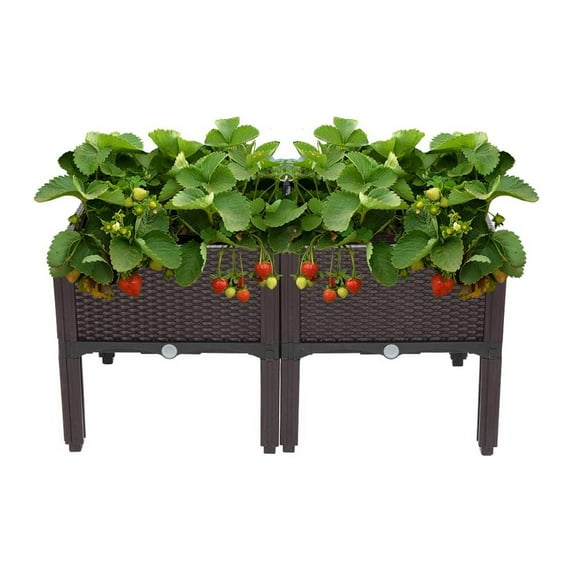 Square Raised Garden Bed, Self-Watering Plastic Planter for Indoor Outdoor Vegetables, Fruits, Potato, Flowers, All Weather (2 Pcs)