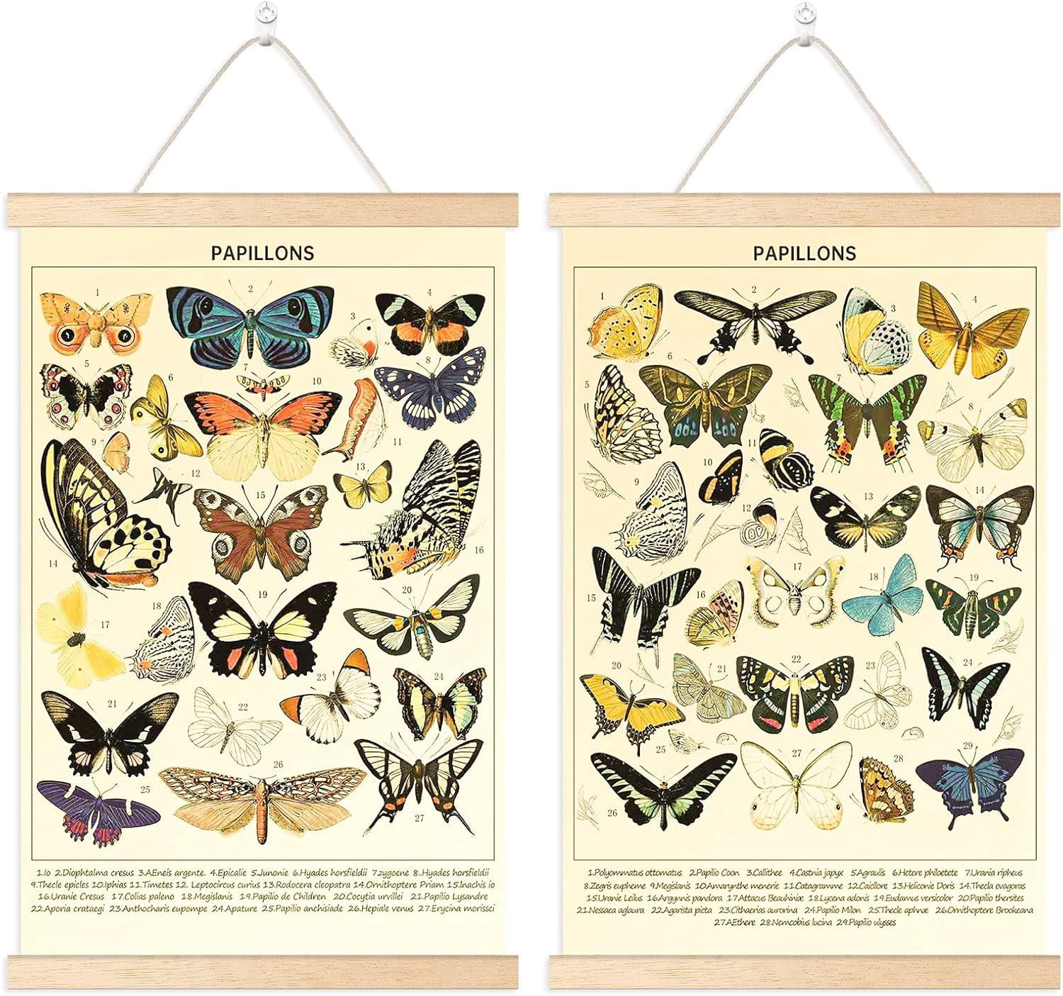 2 Pcs Vintage Butterfly Hanging Poster,Butterfly Wall Hanging Rustic