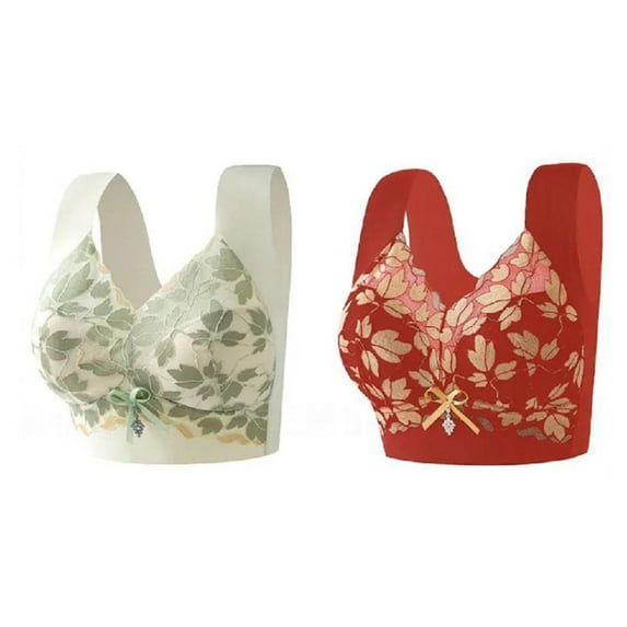 2 Pcs Womens Lace Pull-On Bras Plus Size Full Coverage Everyday Bras Leaves Embroidered Push-Up Wireless Bralettes Multicolor, 44BC