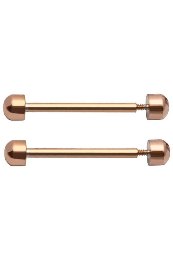 2 Pcs/pack Watch Strap Screw Pins Connection Rod Watch Lug Pins Connect Link Rod Repair Tool 16mm 18mm 20mm 22mm