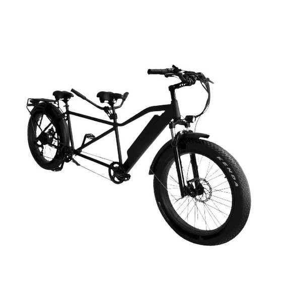 2 Person Tandem Bike Electric Assist Bicycle for Two Riders, Fat Tire 26x4.0, 1200W PowerBoost Motor, 48V Li-ion Battery, Disc Brake, Black