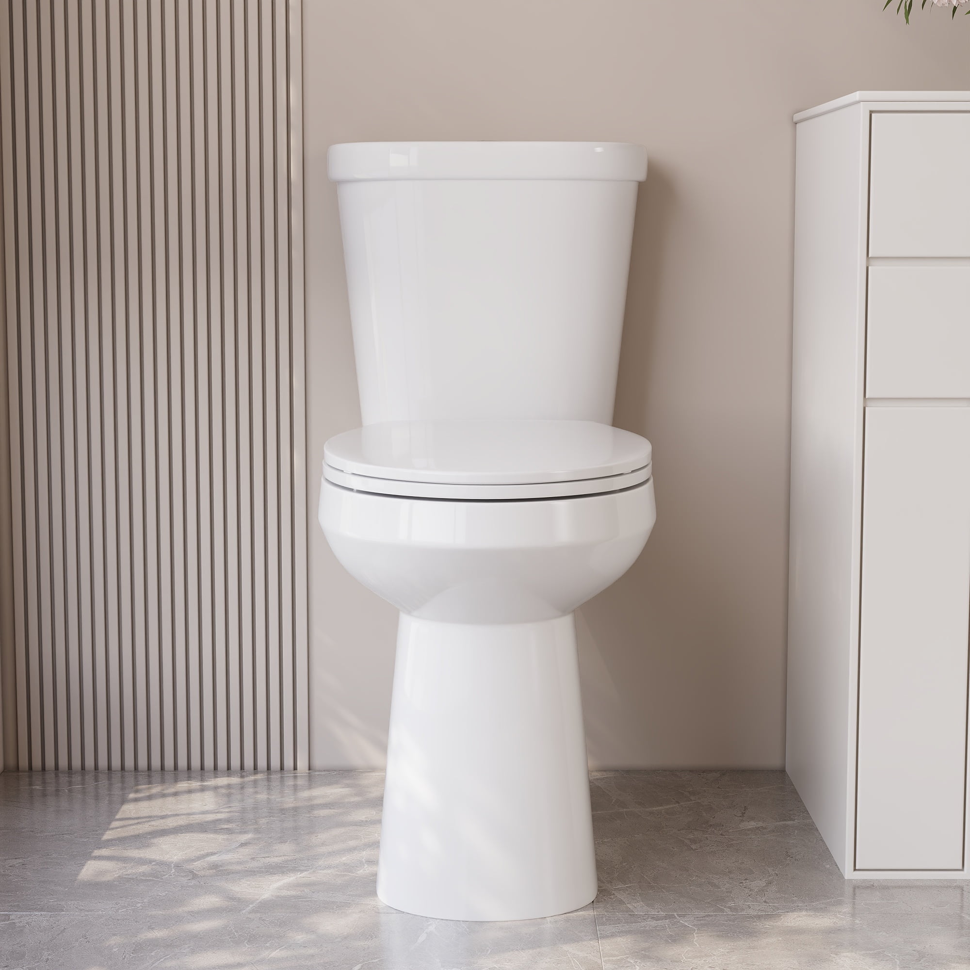 2-Piece 1.1/1.6 GPF Dual flush Elongated 19 in. ADA Comfort Height Toilet in White Map 1000g, Soft-Close Seat Included