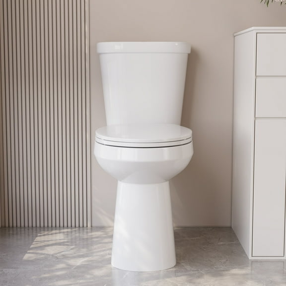 2-Piece 1.1/1.6 GPF Dual flush Elongated 19 in. ADA Comfort Height Toilet in White Map 1000g, Soft-Close Seat Included