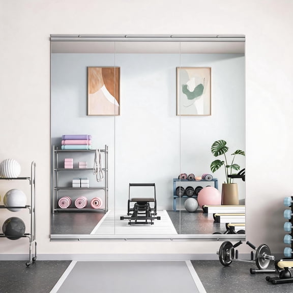 2-Piece 55x17-Inch Home Gym Mirror with Tempered Glass, Frameless Full Body Workout Mirror and Wall Mirror for Yoga Garage Dance Studio, Silver