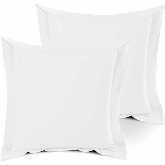 2 Piece Euro Pillow sham (24" x 24") Inches 100% Egyptian Cotton 800 Thread Count Pillow Shams for Bedroom, Hotel, Home Decor Soft and Breathable - White Solid