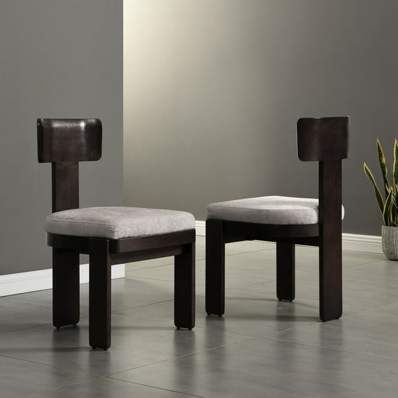 2 - Piece Gray Dining Chairs Set / Blend Comfort and Style in Living Spaces