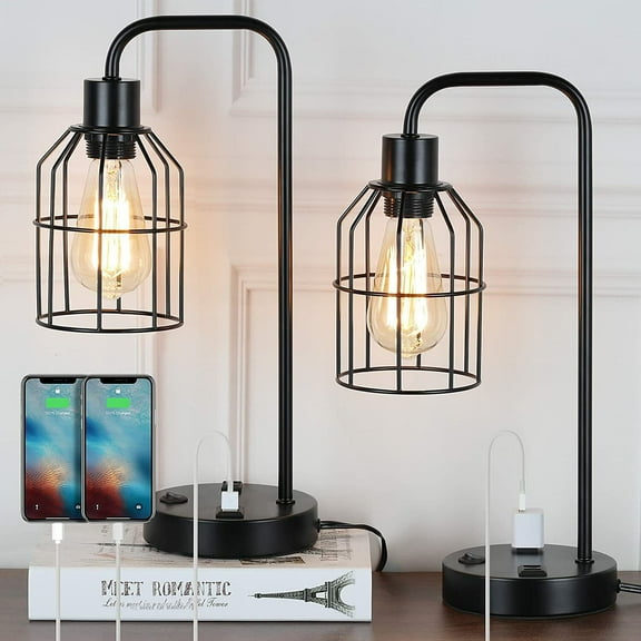 2-Piece Industrial Style Table Lamp with Dual USB Ports Black Metal Cage Shade