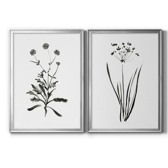 2 Piece Set Inky Botanical I Premium Framed Canvas - Ready to Hang - 26.5 x 36.5 Each - Silver Frame