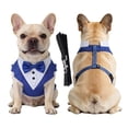 thumbnail image 1 of 2 Piece Set,Puppy Harness and Leash Set with Adjustable Fit,Breathable Mesh Dog Harness for Small Dogs Training,No-Pull Easy Walk,Cute Dog Birthday Gift Set, 1 of 4