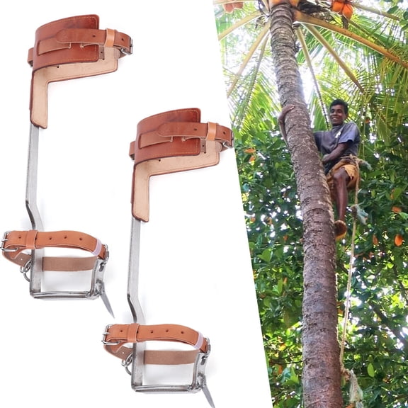 2-Piece Stainless Steel Tree Climbing Spikes, Professional Gear for Fruit Picking, Jungle