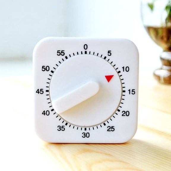 2 Pieces 60 Minute Visual Kitchen Timer Hour Mini Countdown Mechanical Timer Loud Voice for Kitchen, Homework, Exercise