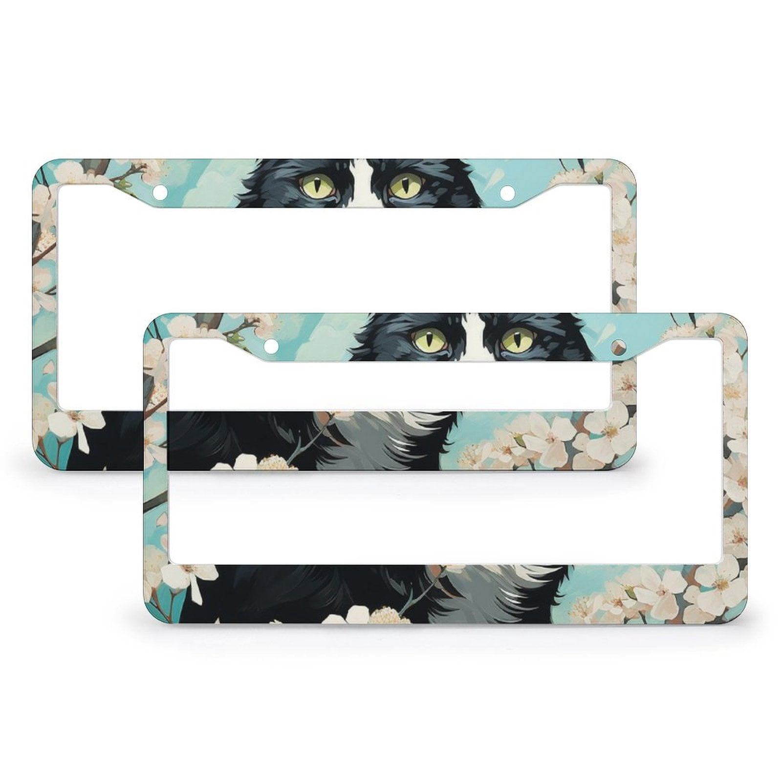 KiuLoam 2 Sets Teal Turquoise Green License Plate Frames | Aluminum Metal Decorative Frame With Screws & Caps | Fits US Standard Plates - View #10