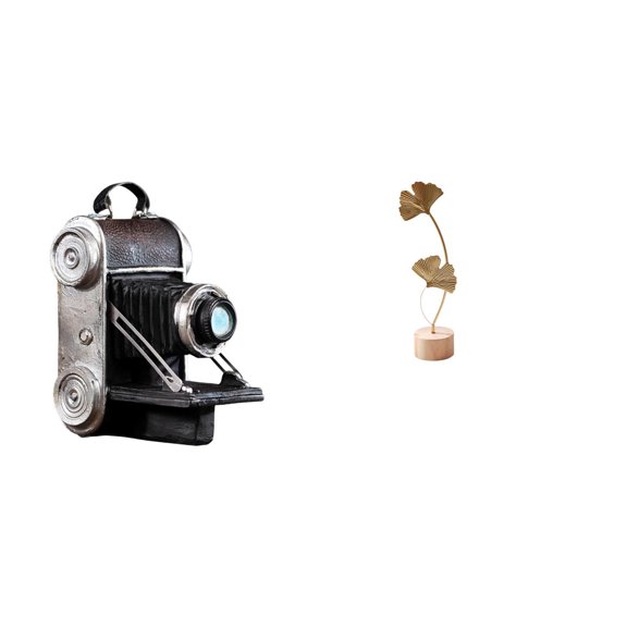 2 Pieces Camera Statue Leaf Sculpture Collectible Figurine Resin Metal Art Decor for Office Living Room Party