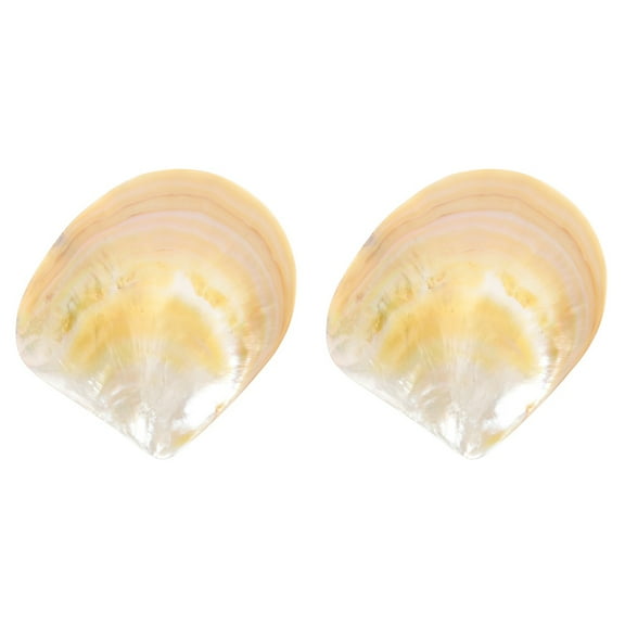 2 Pieces Caviar Storage Tray Dessert Plate Charcuterie Cups Display