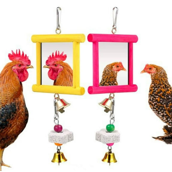 2 Pieces Chicken Mirror Toys Hanging Swing Mirror with Bell Wooden Pecking Toy and 4 Pieces Beak Grinding Molar Stones Coop Toys for Hens Birds Parrots, Boredom Buster for Backyard Chickens