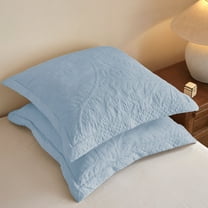 2-Pieces Cotton Light Blue Embroidered Quilted Pillow Shams Euro Size