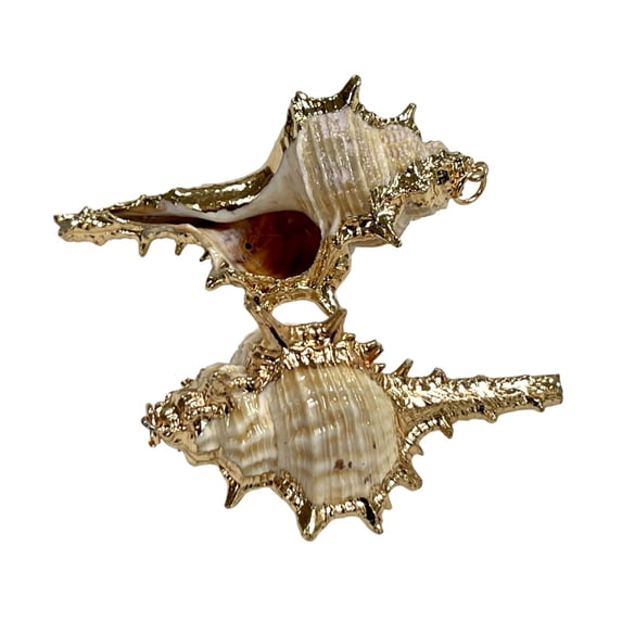 2 Pieces Cowrie Seashell Charm, 2 Pc Gold Plated Seashells, Scallop Beach Shell Ocean Charms For Jewelry Making Bracelets Earrings, Necklace